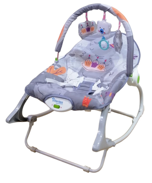 Infantes Newborn-to-Toddler Convertible Baby Rocker